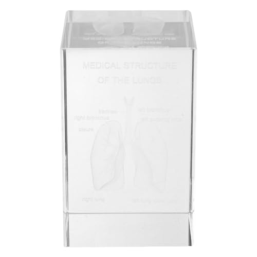 Modèle d'anatomie humaine en cristal gravé 3D de précision pour cabinet médical