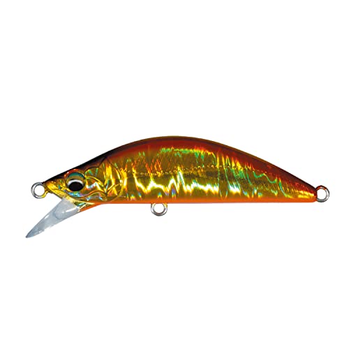 Major Craft W[Ntg t@Ce[Gf dcm|UOr OPTbl[U[AJL