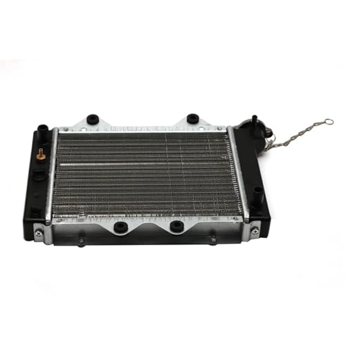 WG^[ ANZT[,N[[ Zongshen 150cc 200cc 250ccGWɓK It[hoCNANZT[ WG[^[␅^N T[X^bgt(Just a water tank)