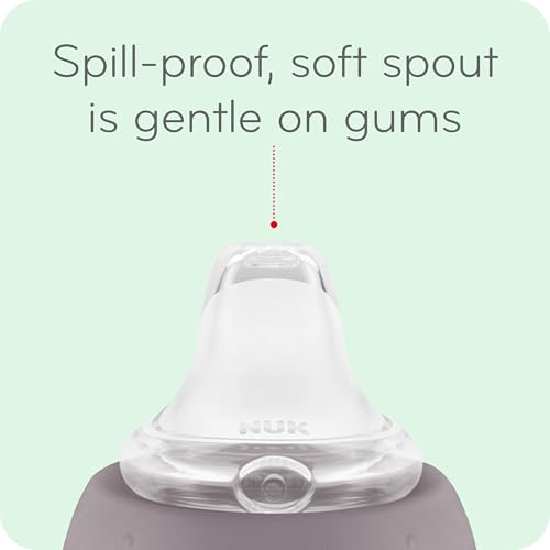 NUK Disney Princess Large Learner Cup 10oz 2pk – BPA Free, Spill Proof Sippy Cup