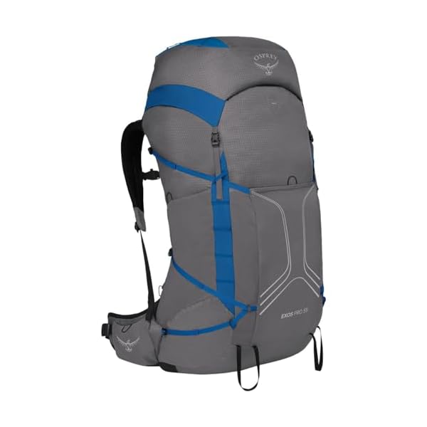 Osprey Exos Pro 55L Men's Backpacking Backpack, Dale Grey/Agam Blue, L/XL