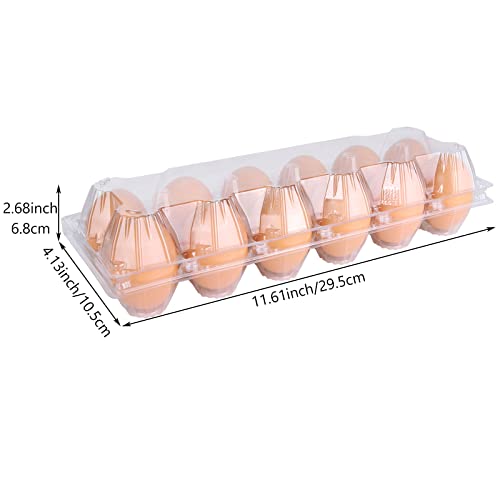 MIVIDE Plastic Egg Cartons Bulk, 36 Packs Empty Clear Plastic Egg Carton Holds Up to 12 Eggs, Reusable Chicken Egg Tray Holders for Family Pasture Chicken Farm, Business Market Display, Storage