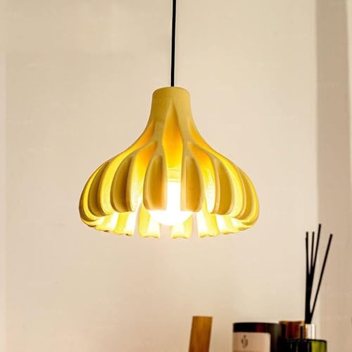 Lámpara colgante moderna de hierro para iluminación decorativa de techos 3