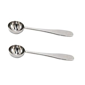 Honey Bear Kitchen 5 ml Teaspoon scoops, Polished Stainless Steel 2 Pack