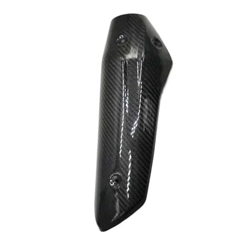 Couvercle d'échappement en fiber de carbone BMW G310R pour balades et sorties