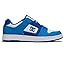 Blue/Blue/White