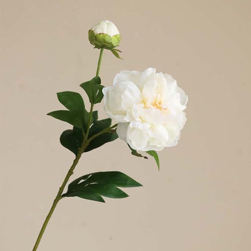 �t�F�C�N�t�����[ ���� �V���N���N �k���� �C���e���A ���� ���A�� �A�[�e�B�t�B�V�����t�����[ �{���������� 2�{ �z���C�g �X�^�C���b�V�� ���蕨 �v���[���g ��̓� ����Ȃ��� �J�X�j�� ����