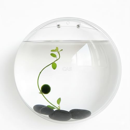 Image of CAS 1L to 14L Glass Fish Bowl (12 INCH,(5 Litre Acrylic) Wall Hanging Fish Bowl)