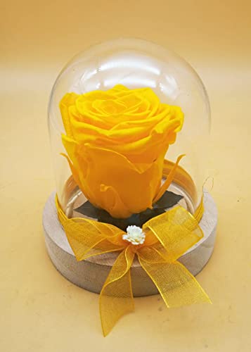 Rosa eterna Amarilla. Cúpula de Cristal. Rosa preservada Amarilla. Rosa Amarilla eterna. Flores preservadas. Hecho en España Cover