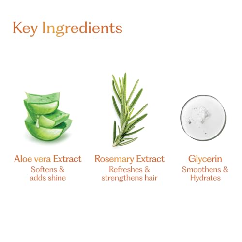 Image of Sacred Grove Hair Perfume for Women | Wildflower Hair Mist with Aloe Vera & Rosemary Water | Water-Based & Alcohol-Free Hair Spray | Long-Lasting Floral Fragrance | Unisex Hair Perfume, 50ml