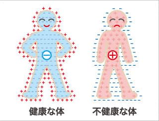 Amazon.co.jp: YBIの魔法のネックレス パワーネック／スーパー