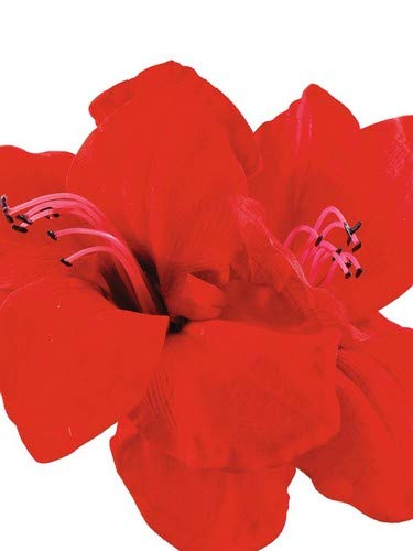 Preisvergleich Produktbild Euro Palms Kunstpflanze, Rot