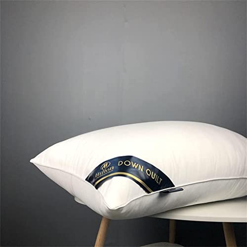 Oreillers de sommeil simples et doubles protège-nuque Argento 750g pour lit de chambre à coucher