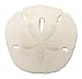 Sand Dollars 3"-3.5" Set of 12 - Wedding Seashell Craft - Hand Picked and Professionally Boxed