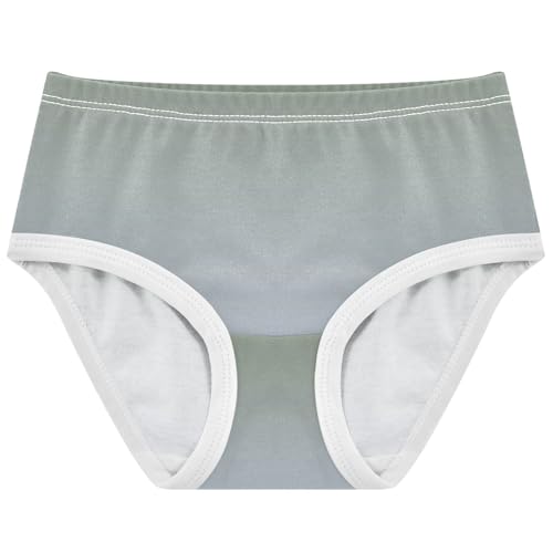 Animal Toddler Girls Underwear 2t Cotton Little Girl Panties Camouflage Green Periwinkle Gradient Briefs Kids Undies