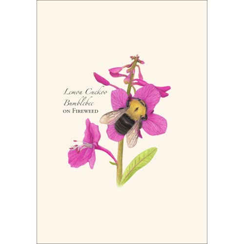 Image of Earth Sky + Water - Spring Bee Assortment Notecard Set - 8 Blank Cards with Envelopes (2 each of 4 styles)