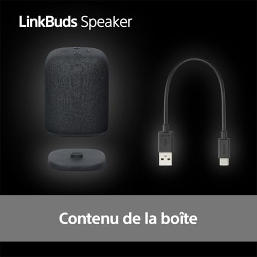 Sony Enceinte LinkBuds - Enceinte Portable sans Fil Bluetooth, IPX4, Résistante à l'eau, Batterie de 25 Heures, Qualité d'Appel Clair, Outdoor, Voyage - Noir