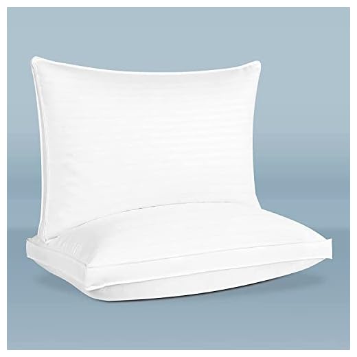 Pinzon Striped Gusset Pillows Fill Goose Down White Standard Size