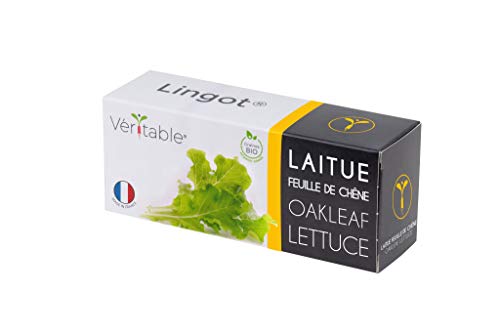 Véritable Lingot® - Recarga para Jardín Interno autónomo y Inteligente (Brotes tiernos, Lechuga - Hoja de Roble)