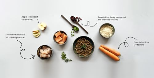 Canine Choice Premium Hundetrockenfutter für ausgewachsene Hunde – Truthahn & Reis 10kg | 40% frischer Truthahn, 30% Reis, hypoallergenes Naturgranulat | Hoher Protein, sanfte Verdauung