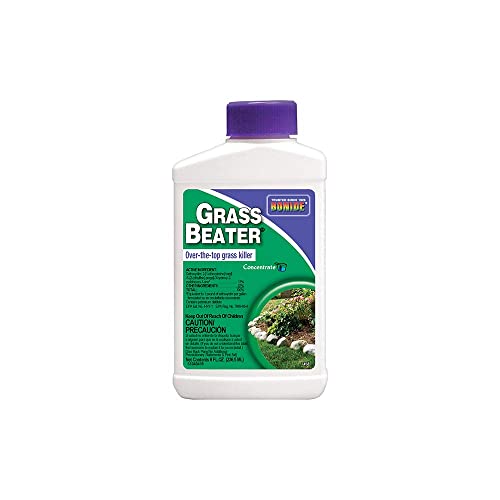 The 5 Best Weed Killers for Bermuda Grass in 2021