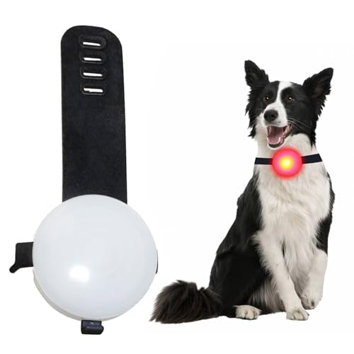 Hudhowks Collare per Cani con Torcia a LED |