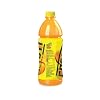 Frooti Pet Bottle, 600 ml