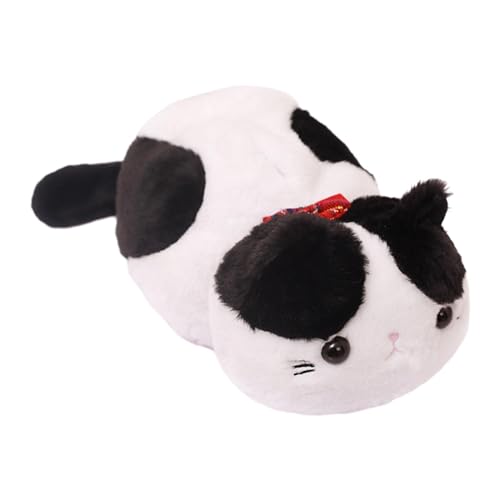 amleso eBbVP[X 킢L ʂ L eBbVJo[ 킢eBbV{bNXJo[ lR  ӂӂ eBbV{bNX Q  ItBXp z[CeA, A