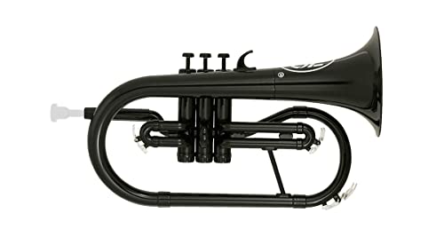 31nToEo-UGL.jpg