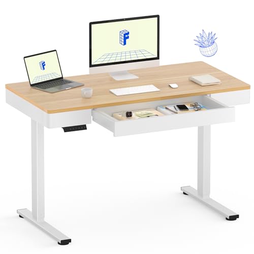 Image of FLEXISPOT Standing Desk with Drawer, 48 x 24 Inch Electric Adjustable Height Stand Up Desk with Storage Organizer, Whole Piece Wooden Desktop for Home, Office, Computer Workstation, Maple