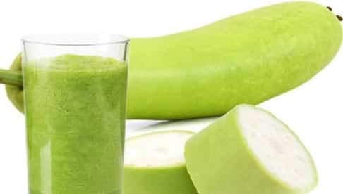 Creative Farmer Vegetable Seeds Lagenaria Siceraria Seeds – Bottlegourd Seeds Climber Vegetable Seeds Vegetable Seeds Bottle Gourd Home Garden Seeds Creative Farmer Vegetable Seeds Lagenaria Siceraria Seeds – Bottlegourd Seeds Climber Vegetable Seeds Vegetable Seeds Bottle Gourd Home Garden Seeds