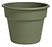 Bloem DC12-42 Dura Cotta Planter, 12-Inch, Living Green