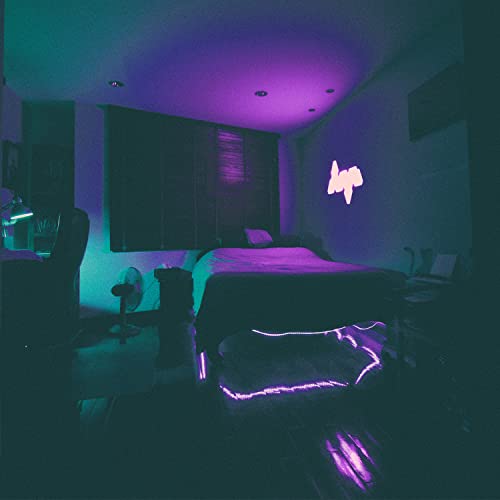 Scheinenda Led Black Lights Bulb Blacklight Ul Listed A19 60Watt Equivalent, E26 Medium Base 120V, For Porch Hallway Patio Holiday Party Decoration, 2Pack #TOP4