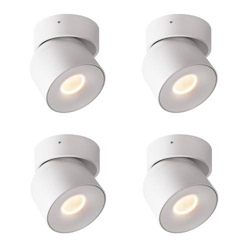 Image of Aisilan 15W LED Dimmable Ceiling Spotlight, Adjustable Directional Surface Flush Mount Lighting, Wall Spot Lights Indoor Accent Fixture for Art Picture Gallery Paintings, 3000K, White