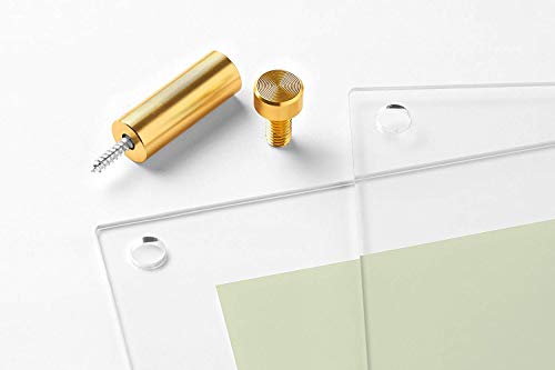 Wexel Art 15X18-Inch Double Panel Grade Acrylic Floating Frame With Gold Hardware For, 11X14-Inch Art & Photos #TOP5