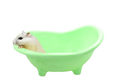 Sage Square 19cm Bath Sand Tub Cum Bathroom for Hamster/Dwarf/Gerbil/Chinchilla/Mice (Green) (B079TN314V) Amazon Price History, Amazon Price Tracker