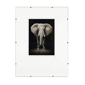 Rahmenloser Bilderrahmen, Cliprahmen 50×70 cm – mit Clips, Acrylglas, HDF-Platte – zum vertikalen oder horizontalen Aufhängen/Aufstellen, Bildhalter für Fotos, Poster, Puzzle