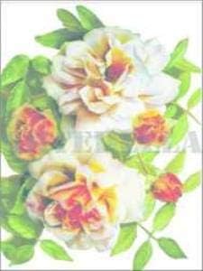 Artebella K k Kolay Transfer 17x24 cm Koyu Zemin 1264K