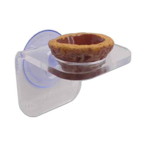 The Spider Shop Arboreal Water Bowl 2 Pack - Purpose Built Bowl for attaching to Arboreal Terrariums, Suitable to Tarantulas, Jumping Spider and Other Invertebrates