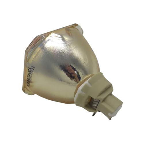 Lampe ELPLP81 compatible avec projecteur CB Z11000WNL pour réussir vos présentations en grand format