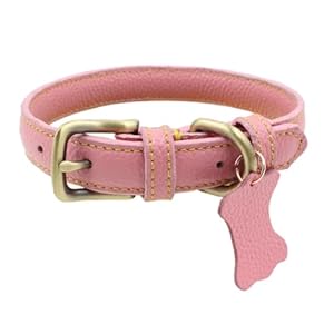 Fovaok Rosa Lederoptik Katzenhalsband mit Knochenanhänger