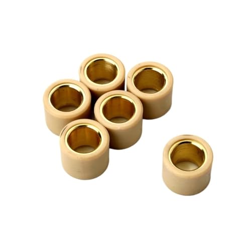 Galets variateur 21 x 17 mm 13 g pour scooter Ra 250 et GP1 250 cc 300 cc