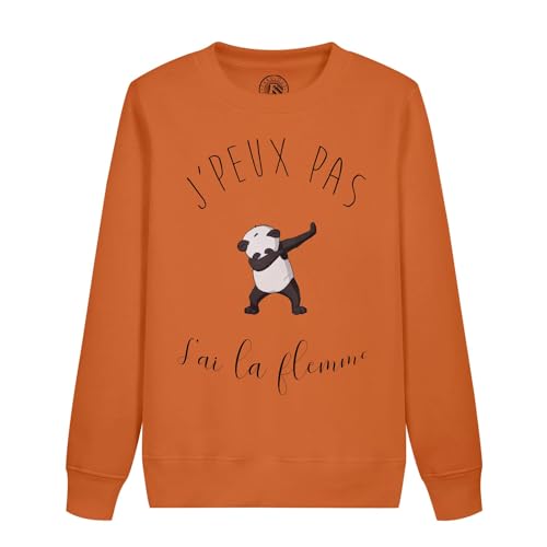 Sweatshirt enfant humour renard pour les journées cocooning et l'école