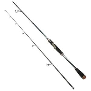 Medium Spin&Cast Fishing Rod Graphite Bass Fishing Rods Carbon 2 Piece Spinning Pole 2 Style Design, Anti-tangling Guide Ring Portable Baitcasting Fishing Rods for Freshwater, Saltwater, Trout, Bass