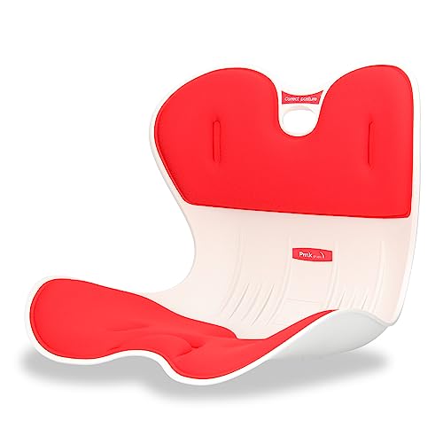 PMK GRUPO Asiento Ergonómico Respaldo Lumbar para Silla Oficina, Suelo, Sofá, Coche - Cojín Corrector Postura Espalda - Contextura Mediana