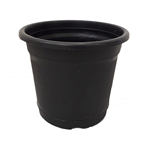SHUBH Planter Pot 7" (Black) Pack of 6 (B07DPK19Y4) Amazon Price History, Amazon Price Tracker