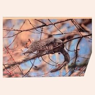 ArtToFrames Custom 16x20 Photo Print on Wood – UV Printed on Birch Plywood – Made to Order in the USA – Includes French Cleat for Easy Wall Hanging