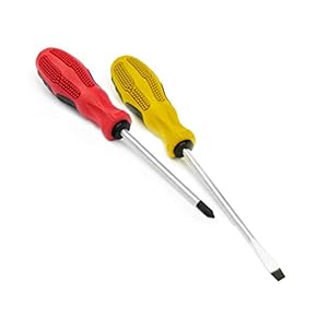 EUROXANTY Set de destornilladores | Destornilladores manuales | Con puntas imantadas | Destornillador con mango ergonÃ³mico y antideslizante | Puntas plana y estrella | SET 2 100 mm