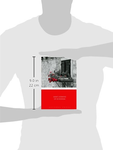 Saint Lydwine of Schiedam - Image 3