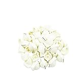 ERINGOGO ギター用プラスチック製ノブ24個 アンプエフェクトペダル交換パーツ コントロールアンプノブ ギター ベース対応 6mmシャフト径対応 音楽機器修理用